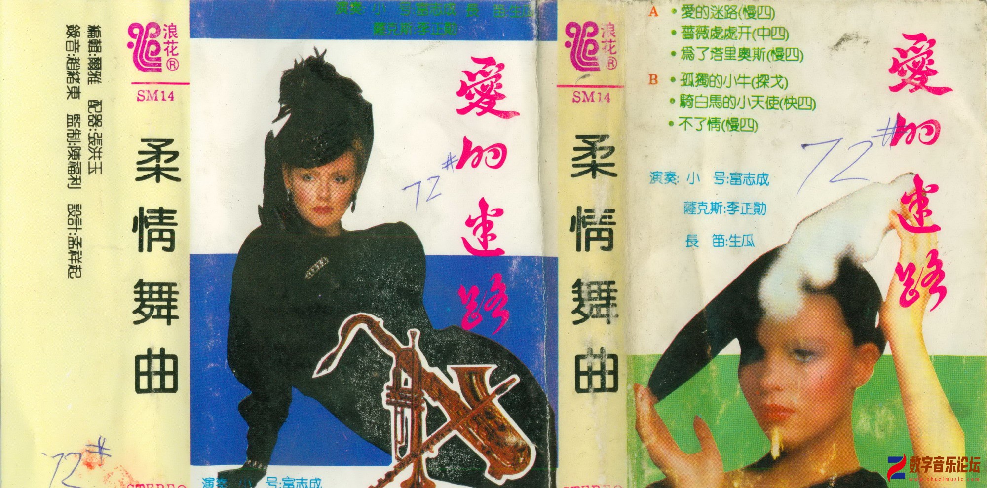 柔情舞曲 爱的迷路.jpg