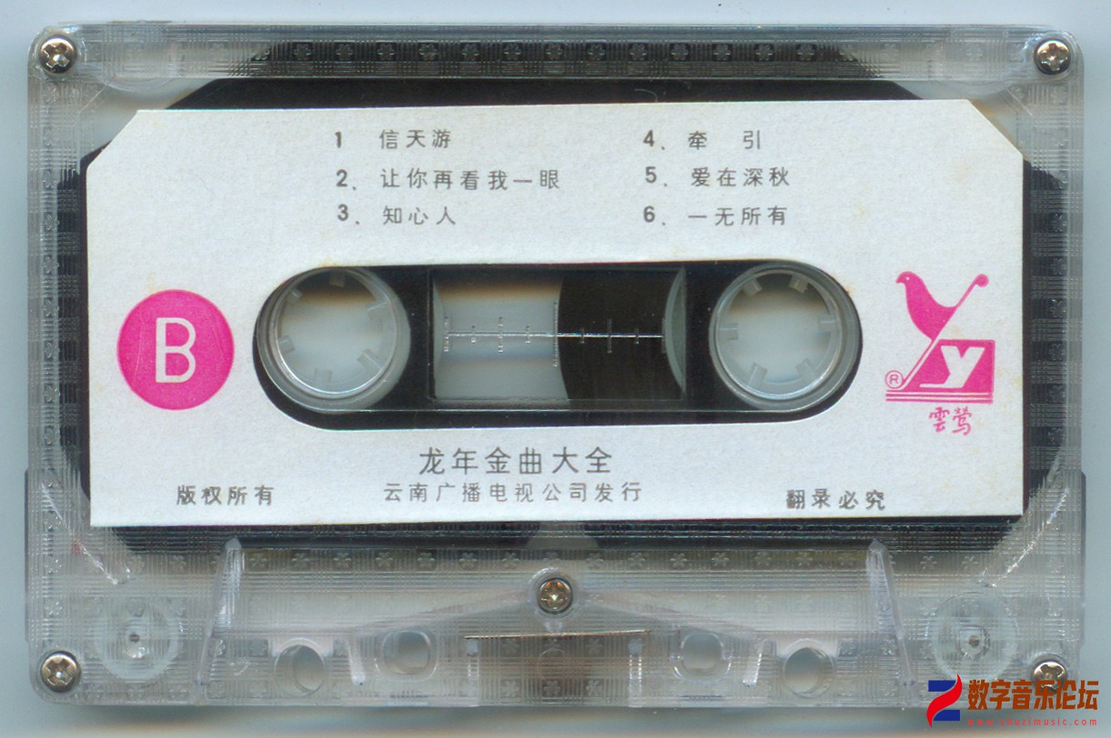 龙年金曲大全-4.jpg