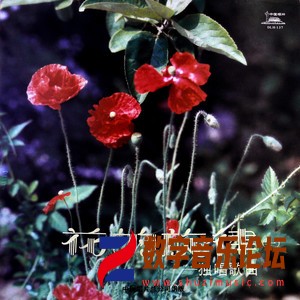 花的旋律 独唱歌曲 (一)（黑胶版）.jpg