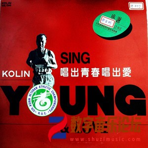 唱出青春唱出爱（黑胶版）.jpg