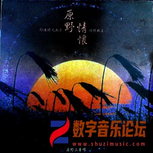 原野情怀（黑胶版）.jpg
