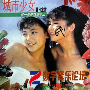 夏日宣言 抓一个梦想在手上（黑胶版）.jpg