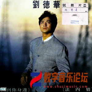 回到你身边 法内情（黑胶版）.jpg