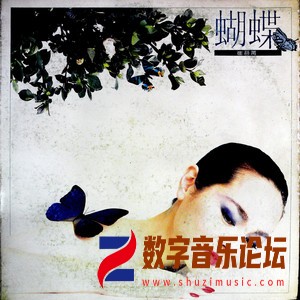 蝴蝶（黑胶版）.jpg