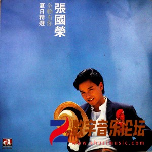 夏日精选 全赖有你（黑胶版）.jpg