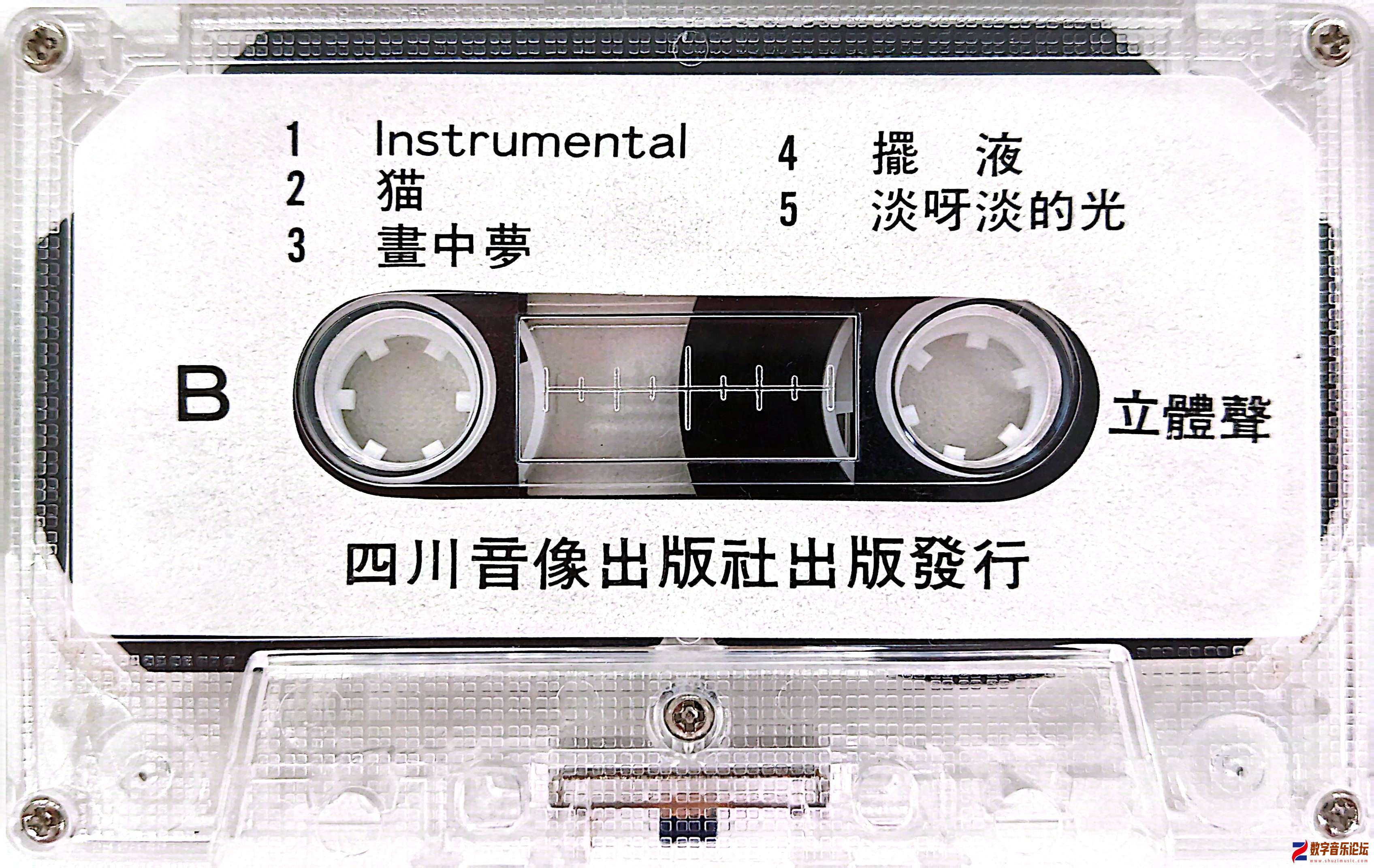 带体 B面.jpg