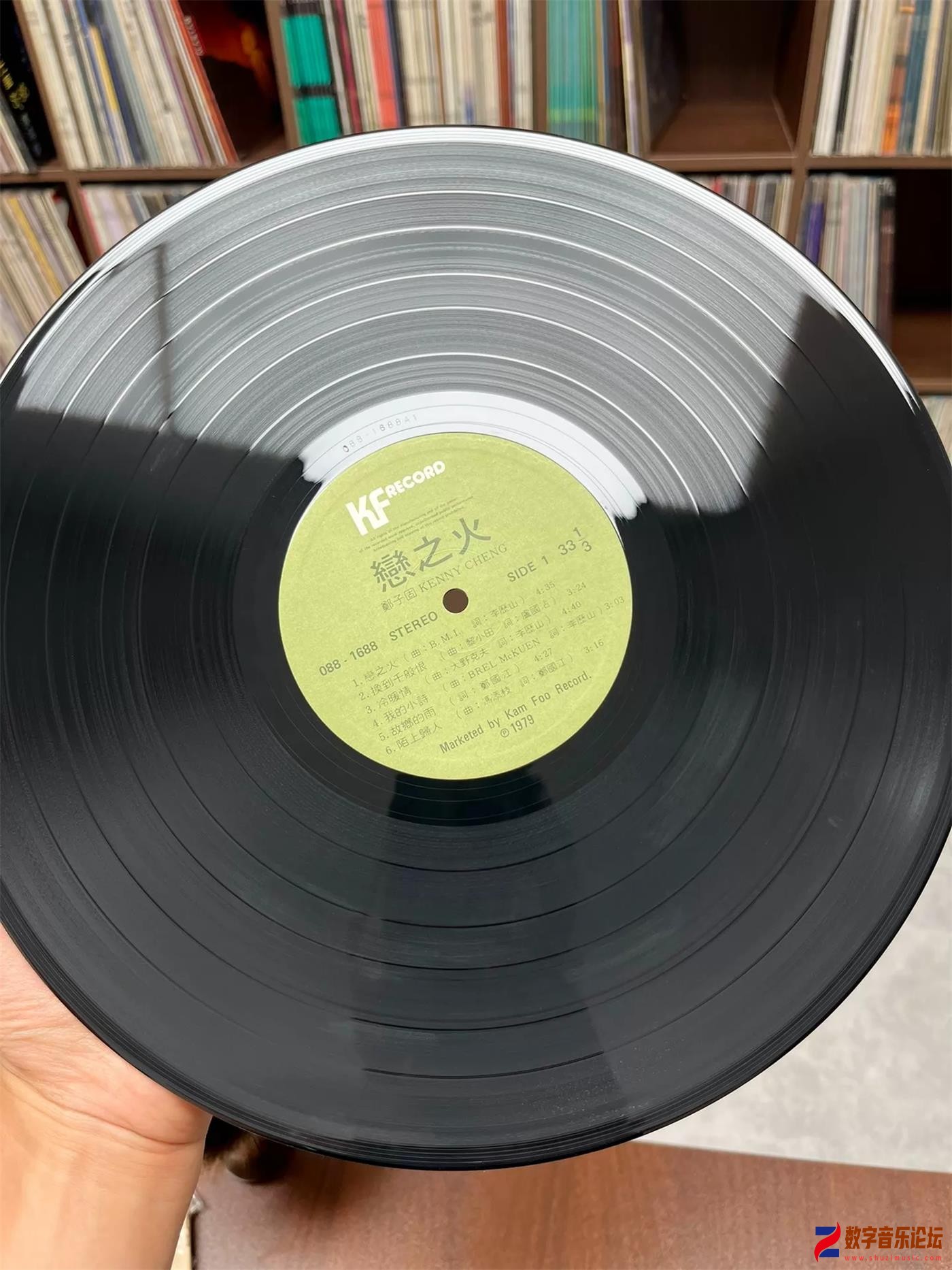 CD-.jpg