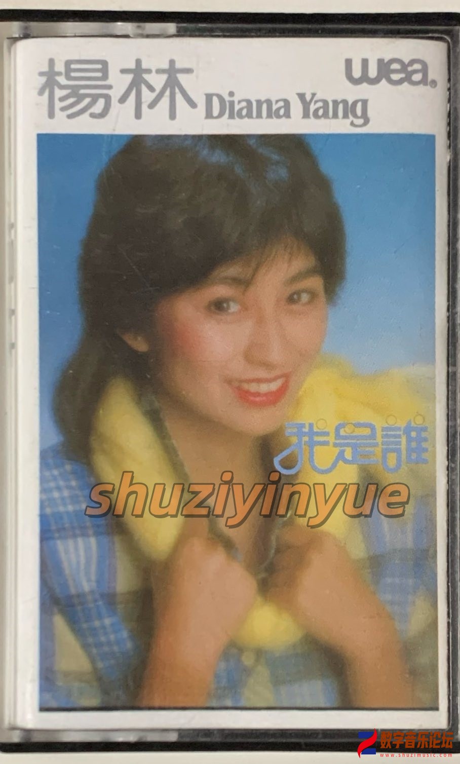AFIR3743_副本.jpg