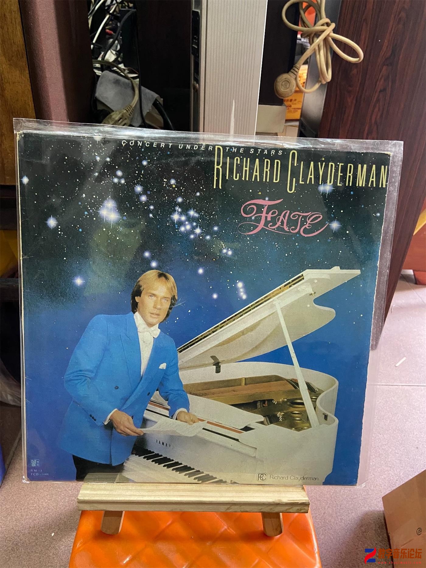COVER.jpg